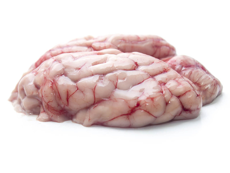 猪肉脑 / PORK BRAIN